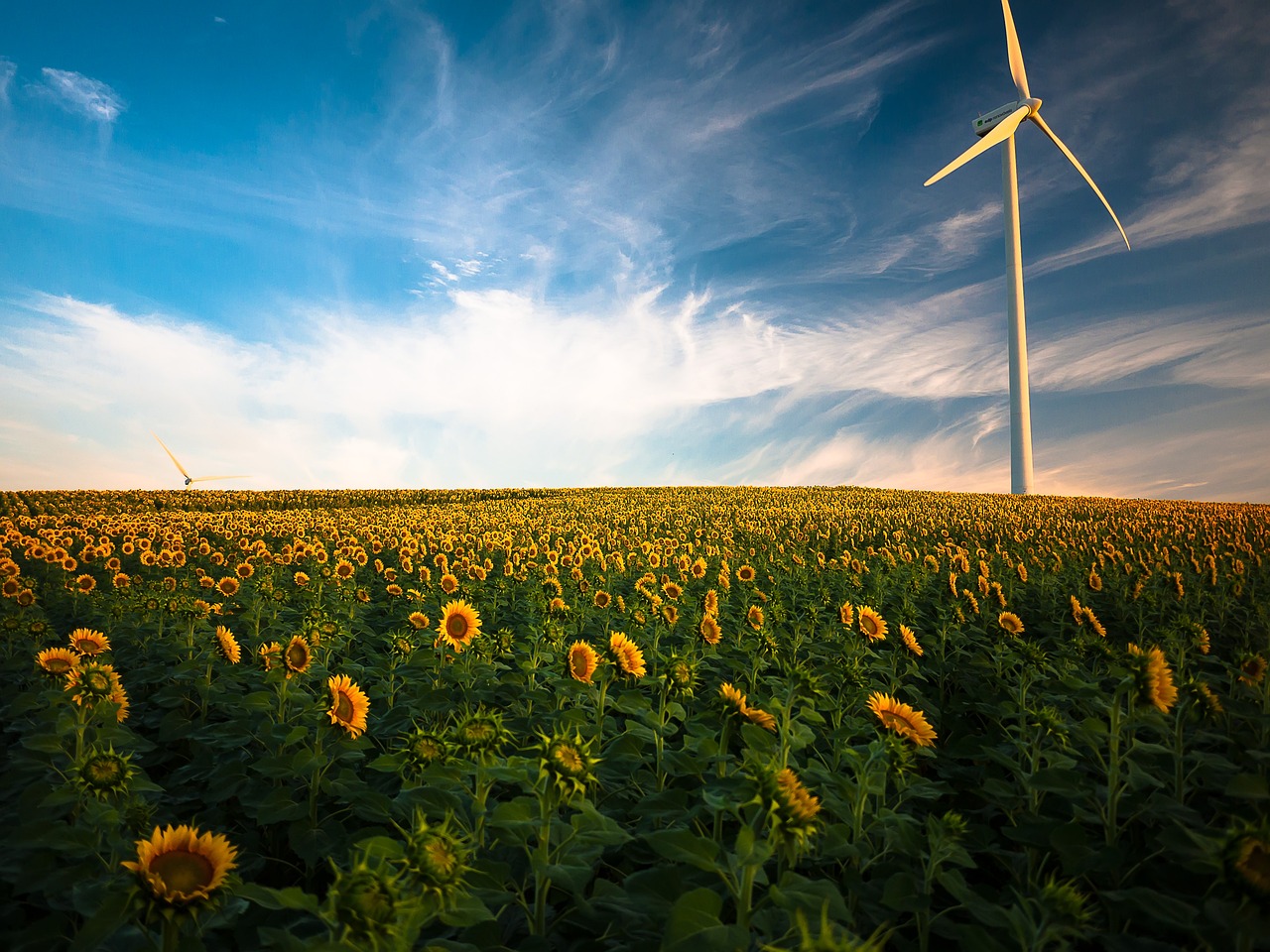 Le rôle de l’éolien dans l’amélioration du bilan carbone