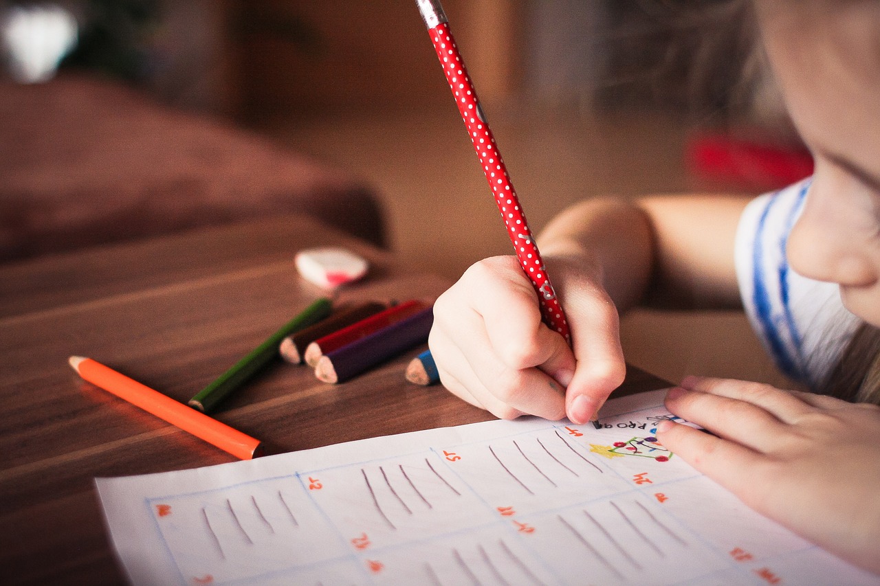 L’importance de l’éducation sur le bilan carbone des énergies renouvelables