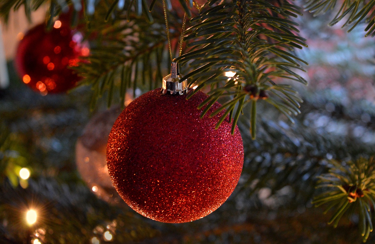 découvrez notre collection d'arbres de noël enchanteurs pour illuminer vos fêtes. que vous recherchiez un sapin traditionnel, moderne ou artificiel, trouvez celui qui apportera magie et joie à votre décoration de noël.