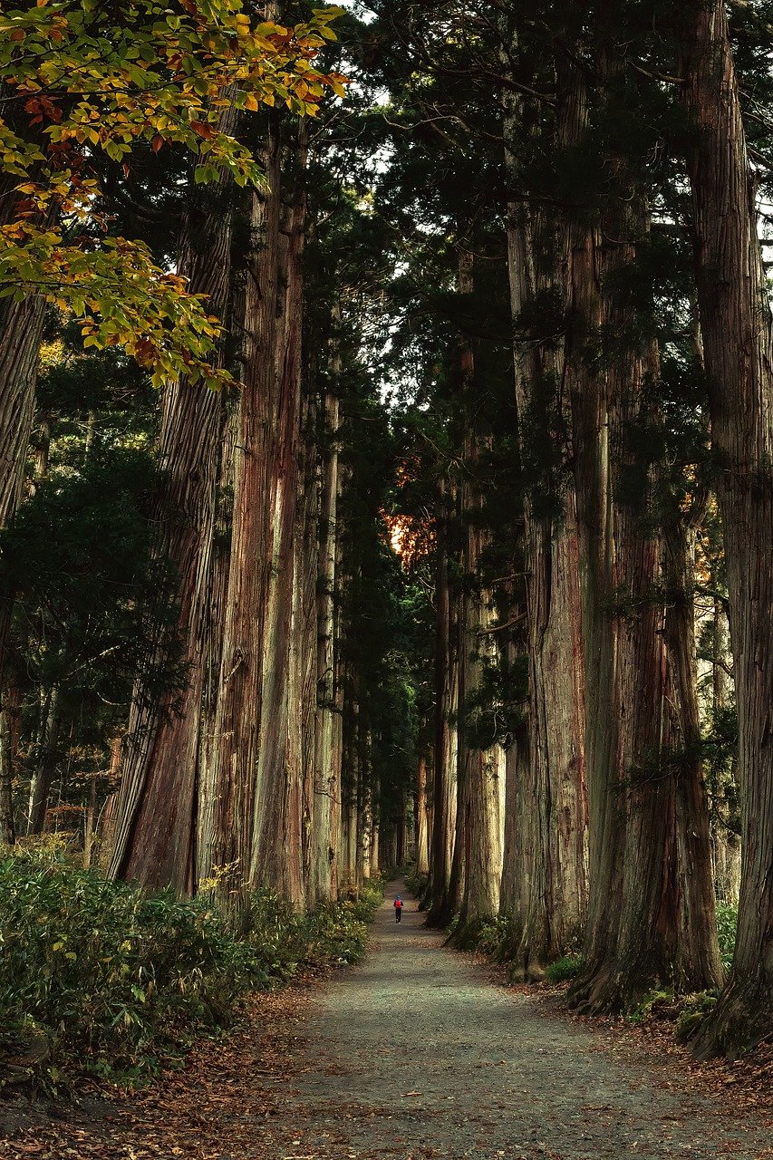 découvrez notre approche écologique, une méthode innovante et durable pour préserver l'environnement tout en répondant aux besoins de la société. explorez des solutions respectueuses de la nature qui favorisent un avenir meilleur.