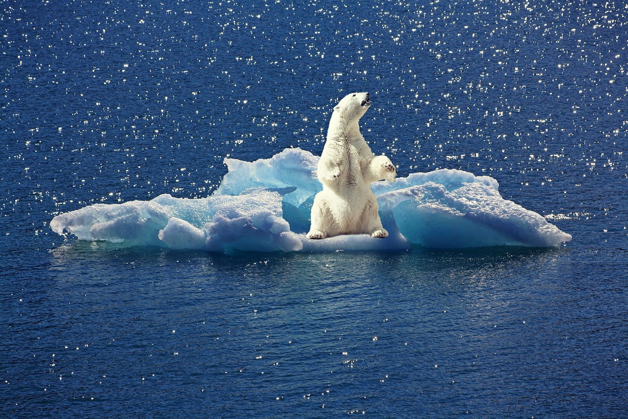 découvrez les enjeux du changement climatique, ses causes, ses impacts sur notre planète et les solutions pour un avenir durable. informez-vous sur les actions à entreprendre pour lutter contre cette crise environnementale.