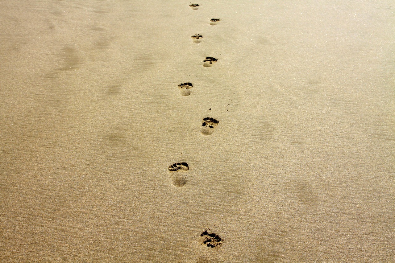 découvrez tout ce qu'il faut savoir sur l'empreinte carbone, son impact sur l'environnement et les actions à entreprendre pour réduire votre contribution au changement climatique. apprenez à mesurer votre empreinte et à adopter des gestes écoresponsables pour un avenir plus durable.