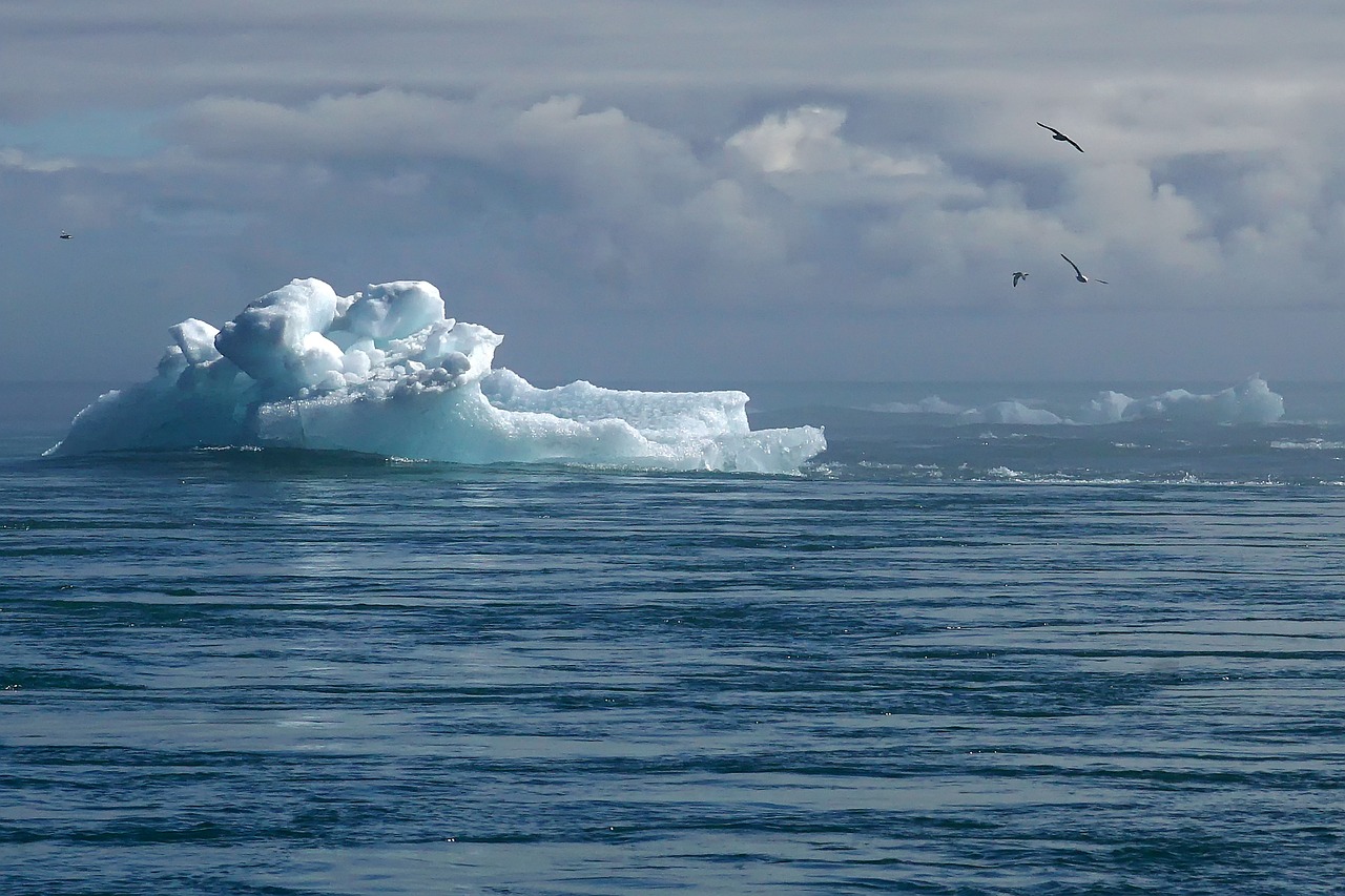 découvrez l'impact du changement climatique sur notre planète et notre quotidien. explorez les causes, les conséquences et les solutions pour un avenir durable face à cette urgence mondiale.