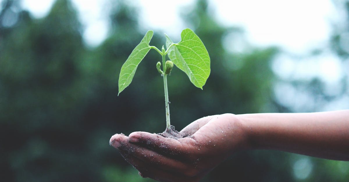 découvrez les enjeux du changement climatique, ses impacts sur notre planète et les actions indispensables à entreprendre pour préserver notre environnement. comprenez comment chaque geste compte dans la lutte contre cette crise mondiale.