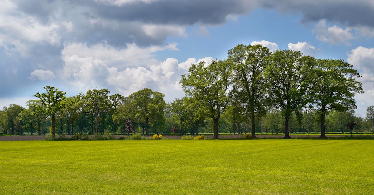 découvrez la capture du carbone, une technologie innovante visant à réduire les émissions de co2 dans l'atmosphère et à lutter contre le changement climatique. apprenez comment cette méthode contribue à un avenir durable et à la préservation de notre planète.