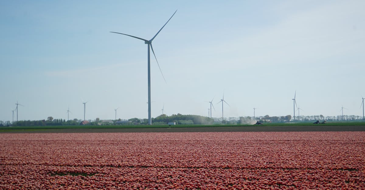 découvrez les avantages de l'énergie propre et durable, qui transformera notre avenir en réduisant notre empreinte carbone et en préservant la planète pour les générations futures.