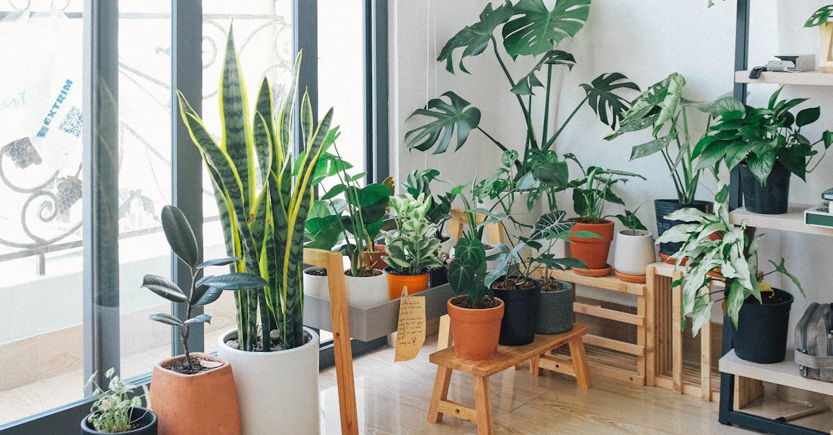 découvrez les principes du mode de vie durable : adoptez des choix écoresponsables pour préserver notre planète, réduire votre empreinte écologique et améliorer votre bien-être. explorez des astuces pratiques pour une vie plus verte et consciente.
