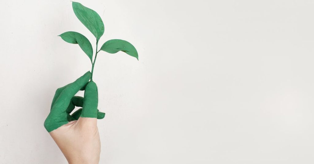 découvrez les principes de la durabilité, des actions concrètes pour un avenir respectueux de l'environnement et des ressources. apprenez comment intégrer des pratiques durables dans votre quotidien pour préserver notre planète.