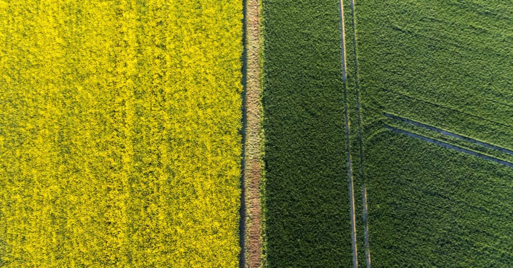 des consultations environnementales pour guider vos projets vers des pratiques durables. bénéficiez de notre expertise pour évaluer l'impact de vos activités sur l'environnement et optimiser vos stratégies de développement responsable.