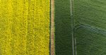 des consultations environnementales pour guider vos projets vers des pratiques durables. bénéficiez de notre expertise pour évaluer l'impact de vos activités sur l'environnement et optimiser vos stratégies de développement responsable.