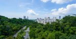 découvrez l'écologie urbaine, une discipline fascinante qui explore l'interaction entre les écosystèmes naturels et les environnements urbains. apprenez comment les villes peuvent devenir des habitats durables, favoriser la biodiversité et contribuer à la lutte contre le changement climatique.