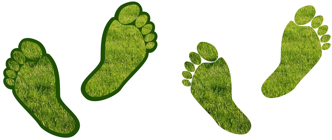 découvrez l'impact des émissions de carbone sur notre planète et explorez des solutions durables pour réduire votre empreinte écologique. informez-vous sur les sources de ces émissions et les initiatives internationales visant à lutter contre le changement climatique.