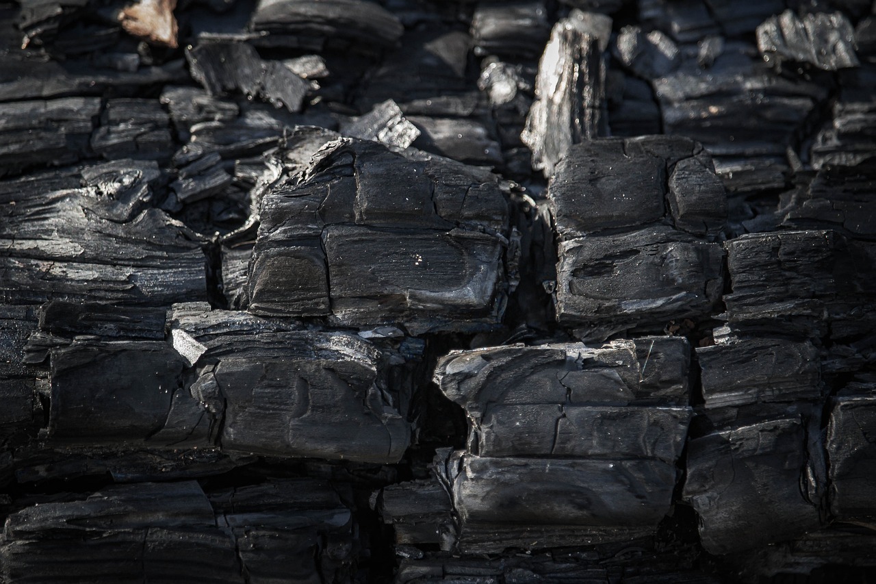découvrez l'empreinte carbone, un indicateur clé de l'impact environnemental de nos activités. apprenez comment réduire votre empreinte écologique et contribuer à un avenir durable.