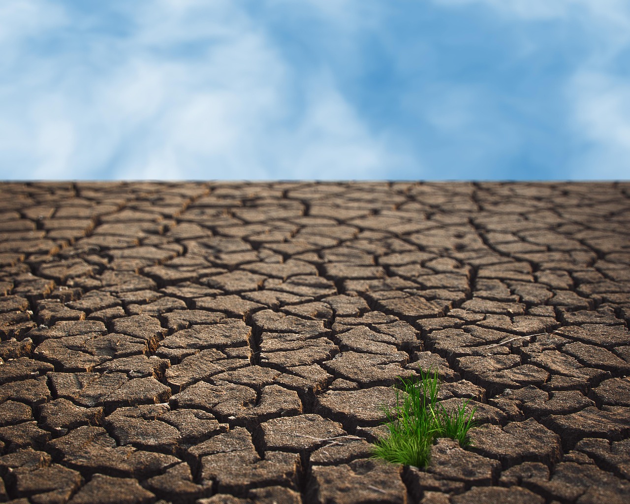 découvrez les enjeux cruciaux du changement climatique, son impact sur notre planète, et les actions nécessaires pour un avenir durable. informez-vous sur les causes, conséquences et solutions pour préserver notre environnement.