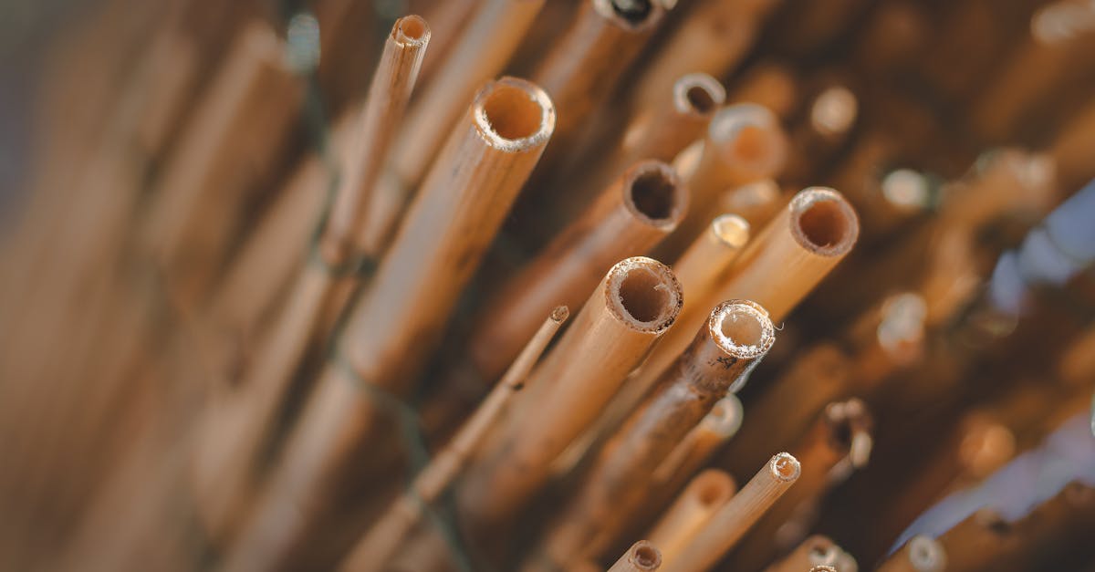 découvrez nos consultations environnementales professionnelles, conçues pour aider les entreprises à naviguer dans les enjeux écologiques actuels. obtenez des conseils d'experts pour une gestion durable et respectueuse de l'environnement.