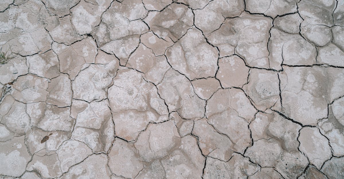 découvrez les catastrophes environnementales, leurs causes et leurs impacts sur la planète. explorez comment elles affectent la biodiversité, les écosystèmes et les communautés humaines, ainsi que les initiatives pour atténuer leurs effets.