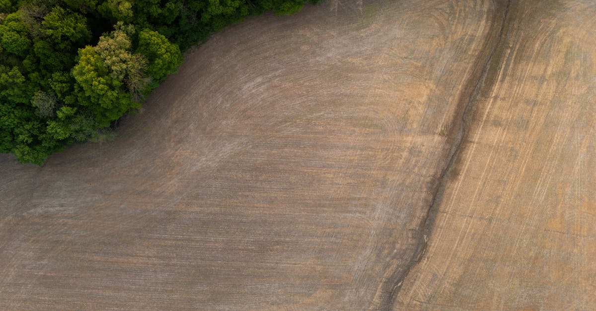 découvrez comment la gouvernance environnementale façonne les politiques durables et protège notre planète. apprenez les enjeux clés, les acteurs impliqués et les stratégies pour une gestion efficace des ressources naturelles.