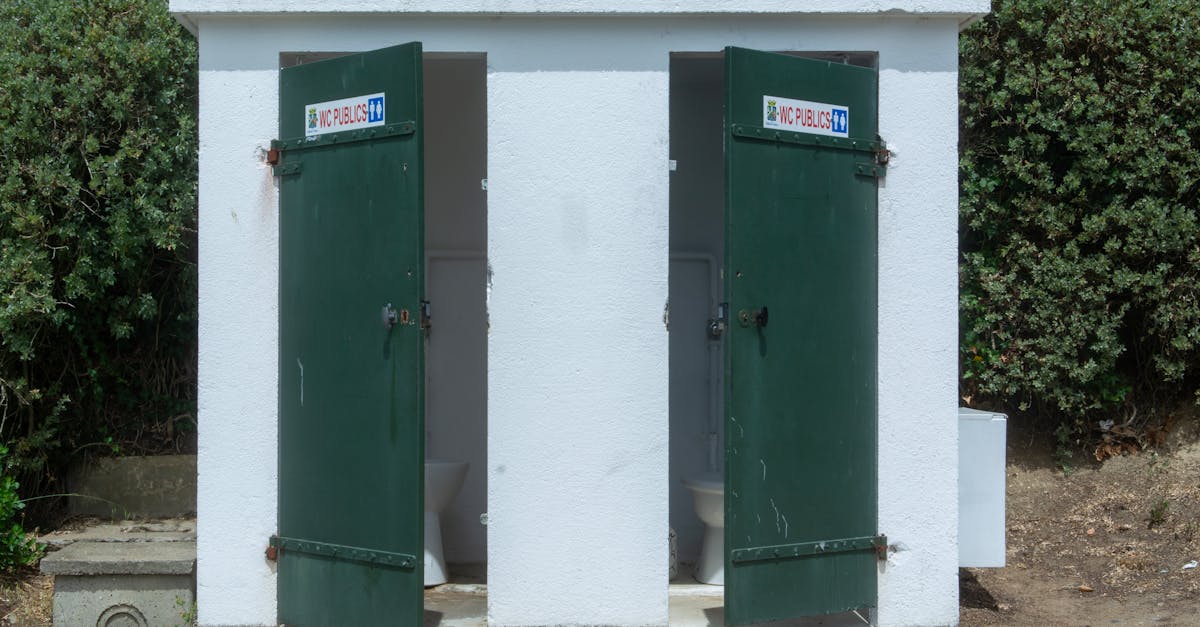 découvrez comment l'intégration environnementale peut transformer les pratiques durables, favoriser la biodiversité et promouvoir un avenir écoresponsable. apprenez des stratégies innovantes pour allier développement et protection de notre planète.