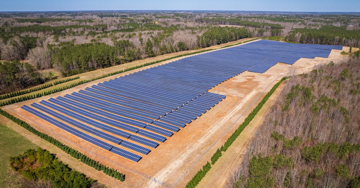 découvrez les enjeux et les pratiques liés à l'utilisation des sols. explorez comment l'aménagement du territoire impacte l'environnement, l'agriculture et les collectivités, tout en favorisant un développement durable.