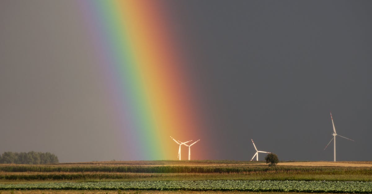 découvrez l'importance des ressources renouvelables pour un avenir durable. apprenez comment l'énergie solaire, éolienne, hydraulique et biomasse peuvent contribuer à protéger notre planète tout en répondant à nos besoins énergétiques.