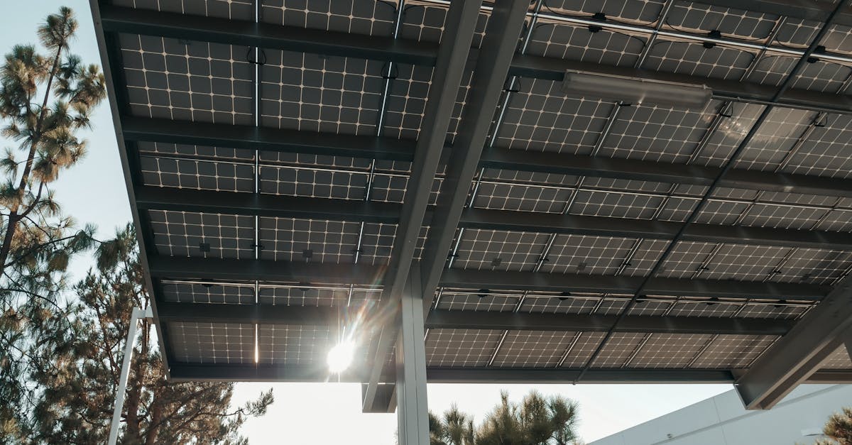 découvrez les ressources renouvelables : une solution durable pour l'avenir. apprenez comment ces énergies alternatives comme le solaire, l'éolien et l'hydraulique contribuent à la protection de l'environnement et à la réduction des énergies fossiles.