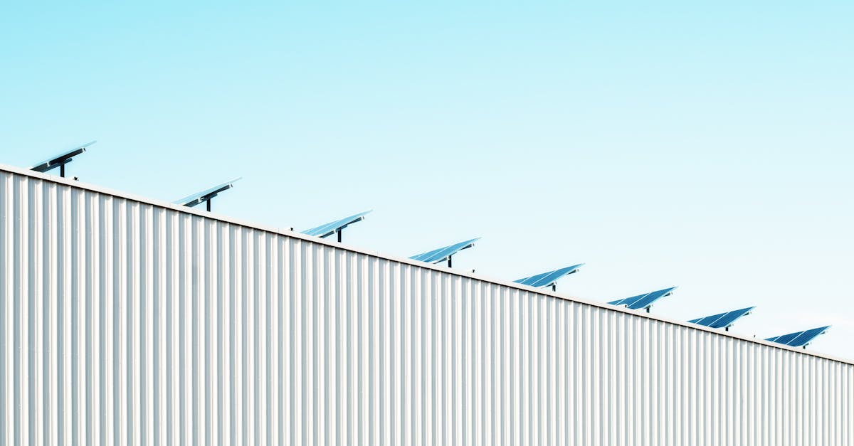 découvrez les enjeux et les pratiques de la durabilité dans notre société moderne. apprenez comment adopter des habitudes écoresponsables et contribuer à la préservation de notre planète pour les générations futures.