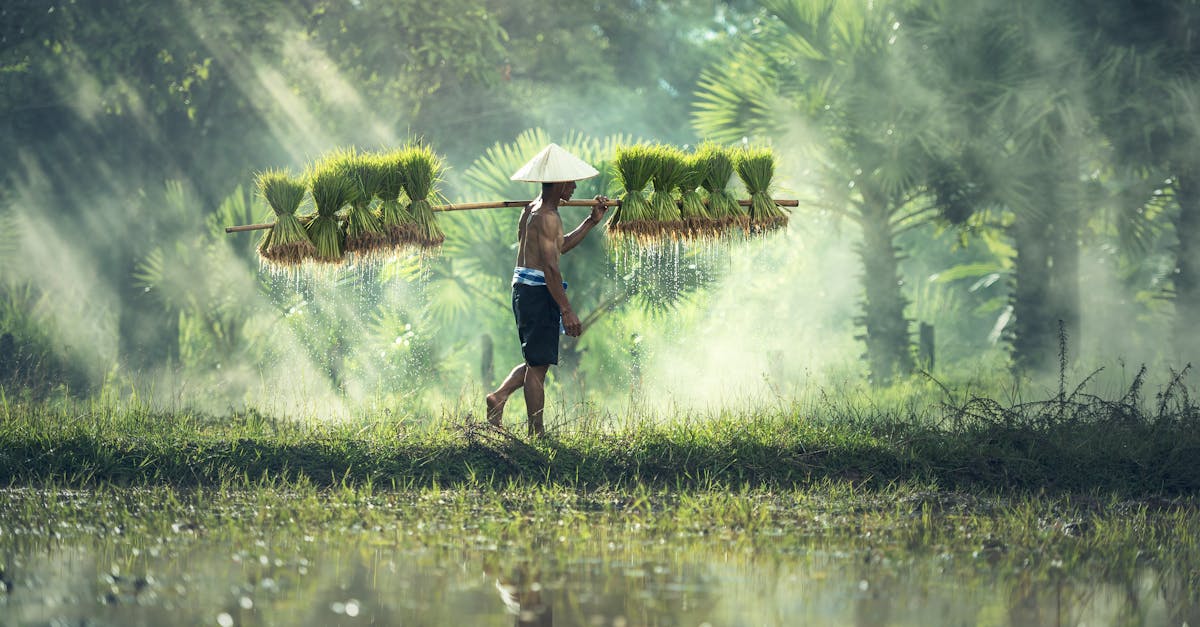 découvrez comment adopter des pratiques durables dans votre entreprise pour réduire votre impact environnemental tout en favorisant la croissance économique et la responsabilité sociale. explorez des stratégies innovantes et des exemples inspirants de succès dans le domaine du commerce durable.
