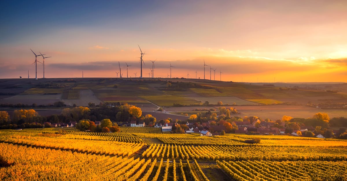 découvrez des pratiques durables qui préservent notre planète et favorisent un avenir meilleur. explorez des solutions écologiques pour un mode de vie responsable.