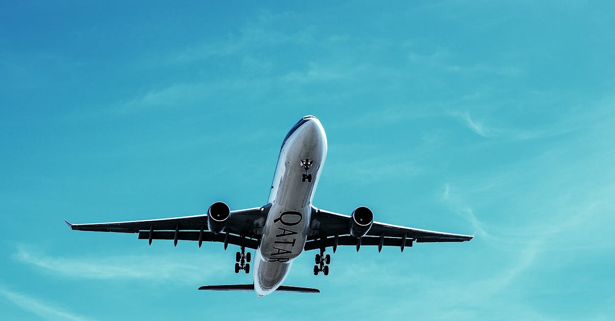 découvrez notre service de transport efficace et fiable, adapté à vos besoins. que ce soit pour des envois nationaux ou internationaux, profitez de solutions rapides et sécurisées pour tous types de marchandises. optez pour un transport de qualité, accompagné d'un service client à votre écoute.
