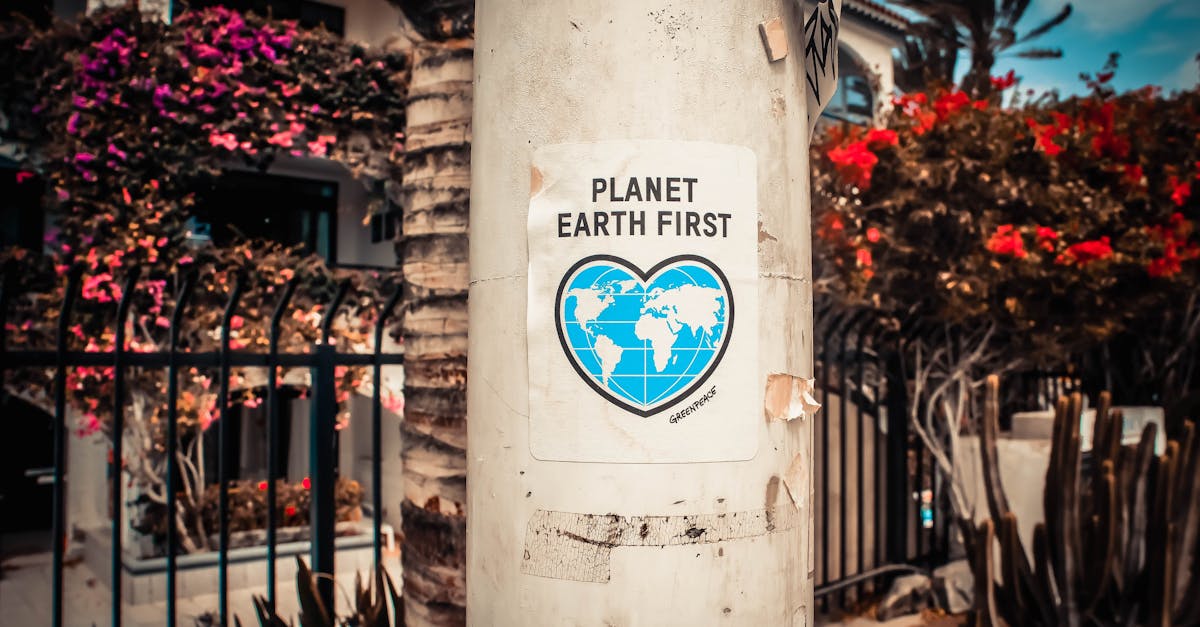 découvrez l'écologie urbaine, une discipline fascinante qui explore les interactions entre la nature et les environnements urbains. apprenez comment les villes peuvent intégrer des pratiques durables pour améliorer la biodiversité, la qualité de vie et la résilience face aux défis environnementaux.