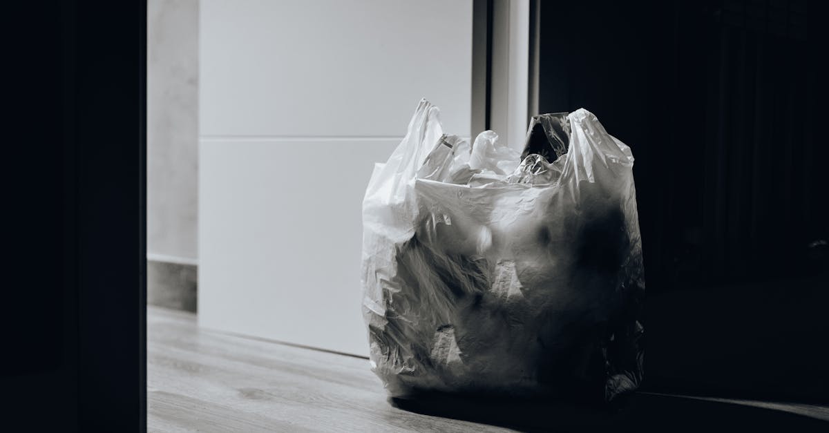 découvrez des stratégies efficaces pour réduire les déchets au quotidien. apprenez à minimiser votre impact environnemental grâce à des astuces pratiques et des conseils durables.