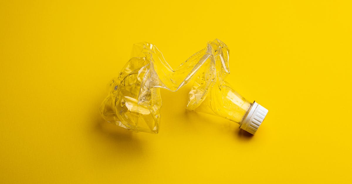 découvrez des solutions innovantes et durables pour la gestion des déchets. réduisez votre impact environnemental grâce à des conseils pratiques, des technologies avancées et des stratégies de recyclage efficaces. engagez-vous pour un avenir plus propre et responsable.